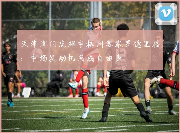天津津门虎相中梅州客家罗德里格，中场发动机或成自由身